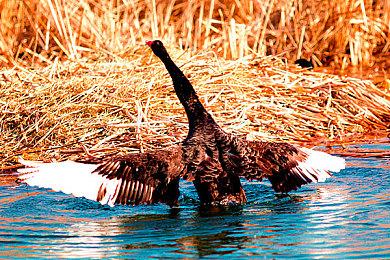 美少女战棋《魔法战士Cosplay俱乐部》上架Steam 