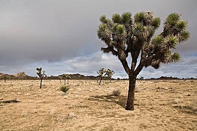 索尼展示本田电动汽车 通过PS5手柄遥控驾驶